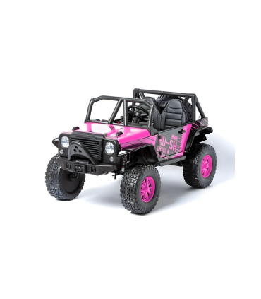 Todo Terreno dois lugares 24V