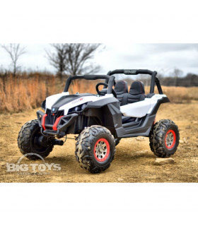 Carro Elétrico Buggy UTV-MX 4x2 100W Turbo Bateria 24v
