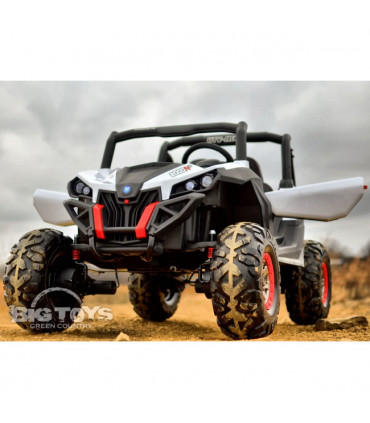 Carro Elétrico Buggy UTV-MX 4x2 100W Turbo Bateria 24v