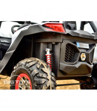 Carro Elétrico Buggy UTV-MX 4x2 100W Turbo Bateria 24v