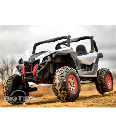 Carro Elétrico Buggy UTV-MX 4x2 100W Turbo Bateria 24v