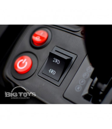 Carro Elétrico Buggy UTV-MX 4x2 100W Turbo Bateria 24v