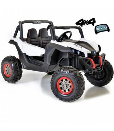 Carro Elétrico Buggy UTV-MX 4x2 100W Turbo Bateria 24v