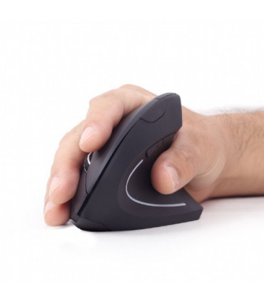 Rato Ergonómico Gembird sem Fios