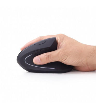 Rato Ergonómico Gembird sem Fios