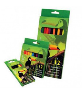 Lápis de Cor 4School - 6 unidades 9 Cm